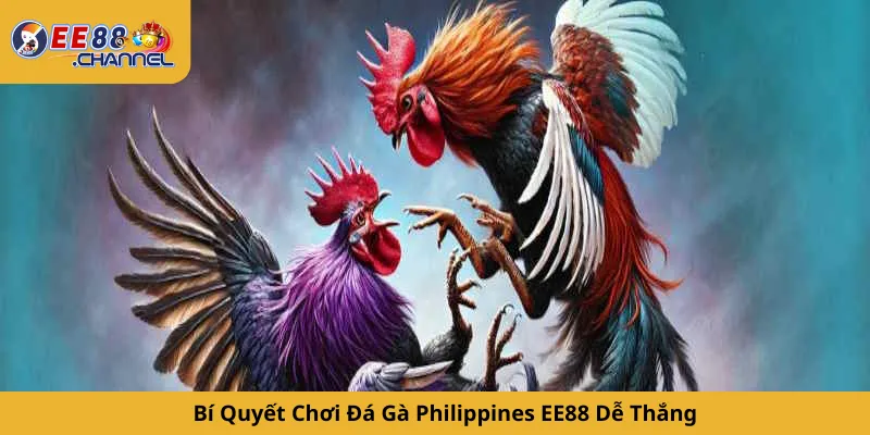 Bí Quyết Chơi Đá Gà Philippines EE88 Dễ Thắng