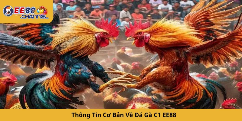 Thông Tin Cơ Bản Về Đá Gà C1 EE88