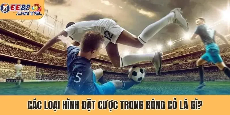 Các loại hình đặt cược trong bóng cỏ là gì?