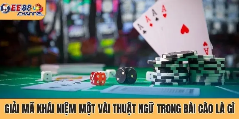 Giải mã khái niệm một vài thuật ngữ trong Bài Cào là gì