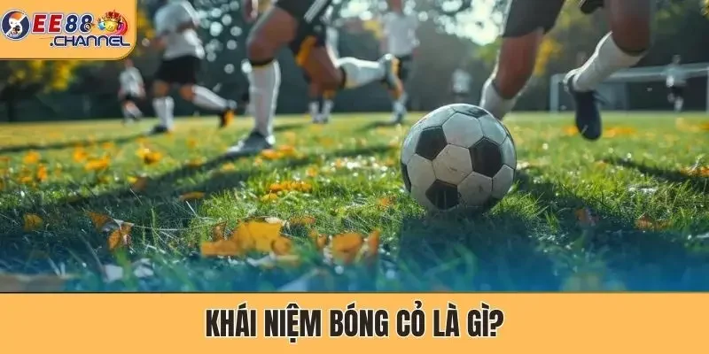 Khái niệm bóng cỏ là gì?